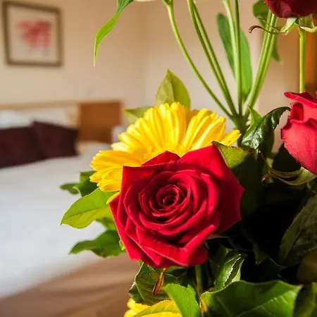 The Arches Claregalway